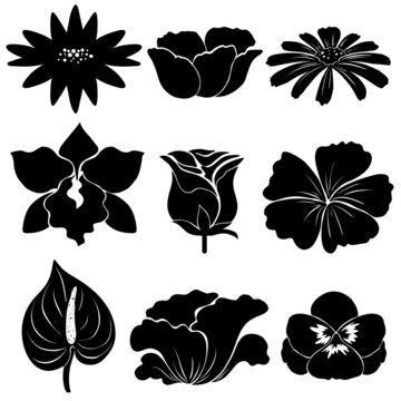 Black flower templates