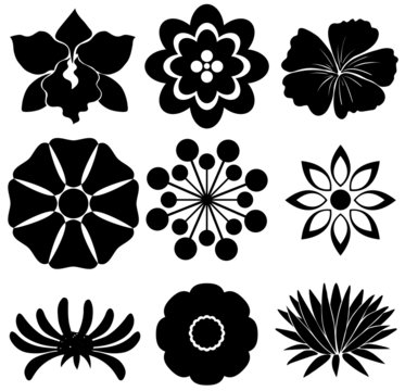Group of floral templates