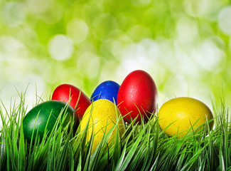 Colorful Easter eggs on green grass and on nature background