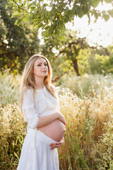 Fototapeta premium Young pregnant woman