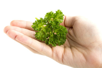 Parsley