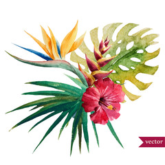 Obraz premium Ładne tropikalne kwiaty