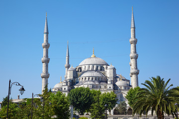 Fototapeta na wymiar Blue Mosque (Sultanahmet Camii) in Istanbul.
