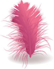 single pink feather silhouette isolated on white