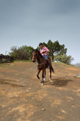 Naklejka premium randonnée à cheval