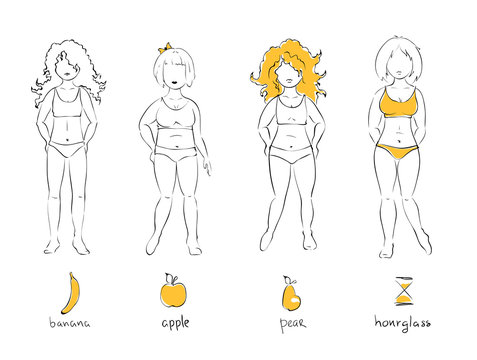 Illustration - female types of figures