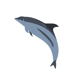 Realistic illustration of a dolphin © -=MadDog=-