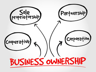 Fototapeta premium Business ownership mind map concept