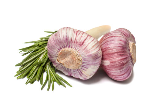 Garlic and rosemary isolated on white