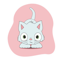Cute gray cat