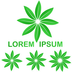 Green organic food leaves logo set