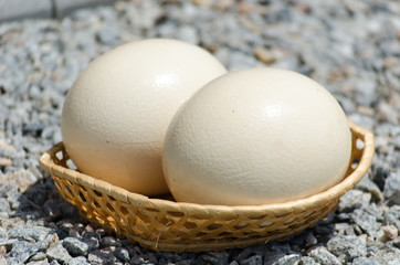 Two big ostrich eggs in a wattled basket