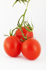 Grappolo di pomodori su sfondo bianco