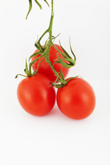 Grappolo di pomodori su sfondo bianco