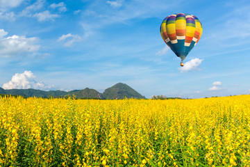 Hot air balloon over yellow flower fields against blue sky
