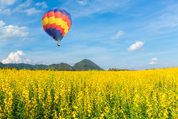 Naklejka premium Hot air balloon over yellow flower fields against blue sky