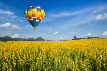 Obraz premium Hot air balloon over yellow flower fields against blue sky