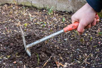 Gartenarbeit im Frühjahr02