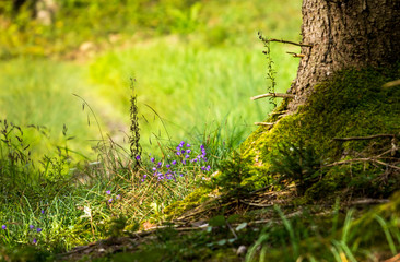 Im Schatten eines Baumes