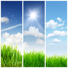 Fototapeta premium Panorama Banner