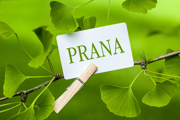 Prana