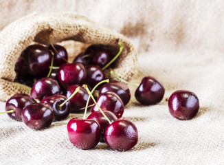 Cherries on the sackcloth