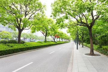 Peel and stick wall murals Asian Places Trees decorated road in modern city