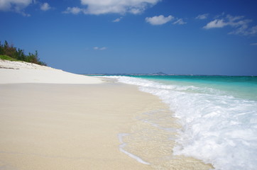 Obraz premium 南国の美しいビーチと紺碧の空