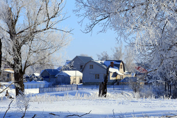 frosty morning in the village