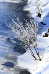 frosty morning on the river