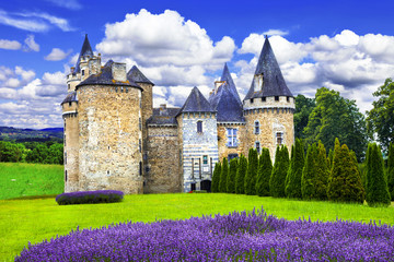 Obraz premium Fairy castles of France series, medieval castle with lavander fi