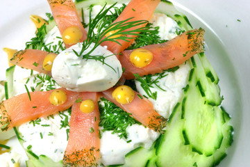 Cucumber-yoghurt-Mousse With Salmon Graved Art
