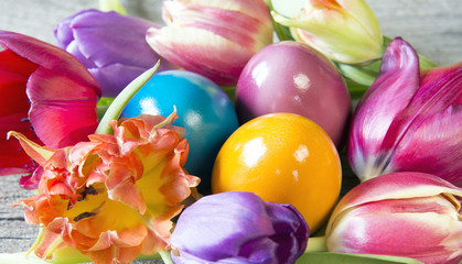 Ostereier in einem Nest aus Tulpenblüten