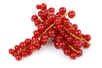 Red Currant