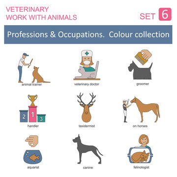 Professions and occupations coloured icon set. Veterinary, work