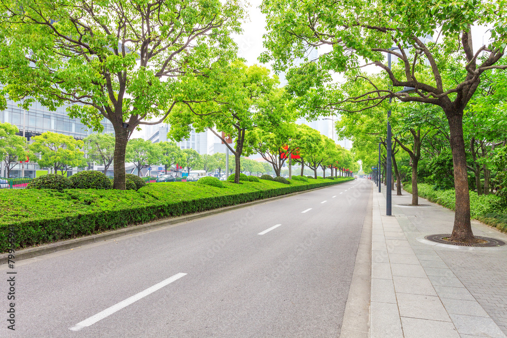 Wall mural trees decorated road in modern city