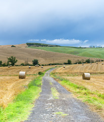 Montalcino (Tuscany, Italy)