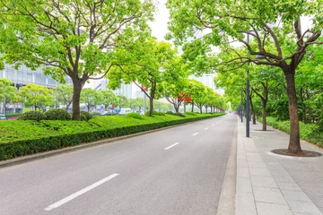 Fototapeten Bäume geschmückte Straße in der modernen Stadt © zhu difeng