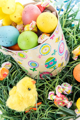 colored Easter eggs, yellow chicks, candy in a basket on grass