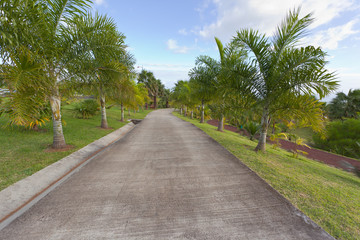 allée bétonnée de jardin public