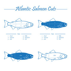 Atlantic salmon cuts diagram - 79958134