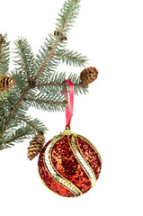 Christmas ball and green spruce branch