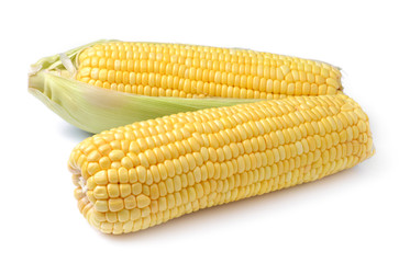 Ears of corn isolated on a white background