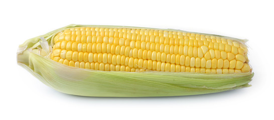 Ears of corn isolated on a white background