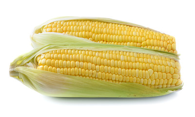 An ear of corn isolated on a white background