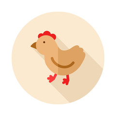 Chicken flat icon with long shadow