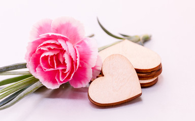 The wooden hearts with pink carnation.  - Concept for love and w