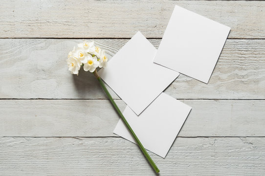White narcissus flowers and blank paper pieces on wood