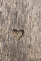 Heart shape cut in wood