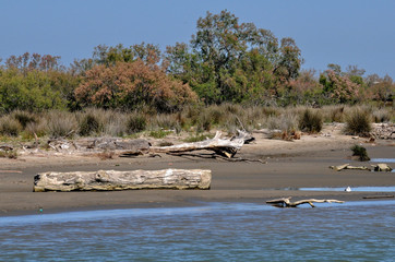 Camargue, panorama 4